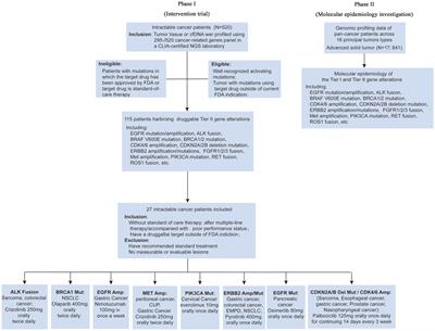 Targeted therapy for intractable cancer on the basis of molecular profiles: An open-label, phase II basket trial (Long March Pathway)